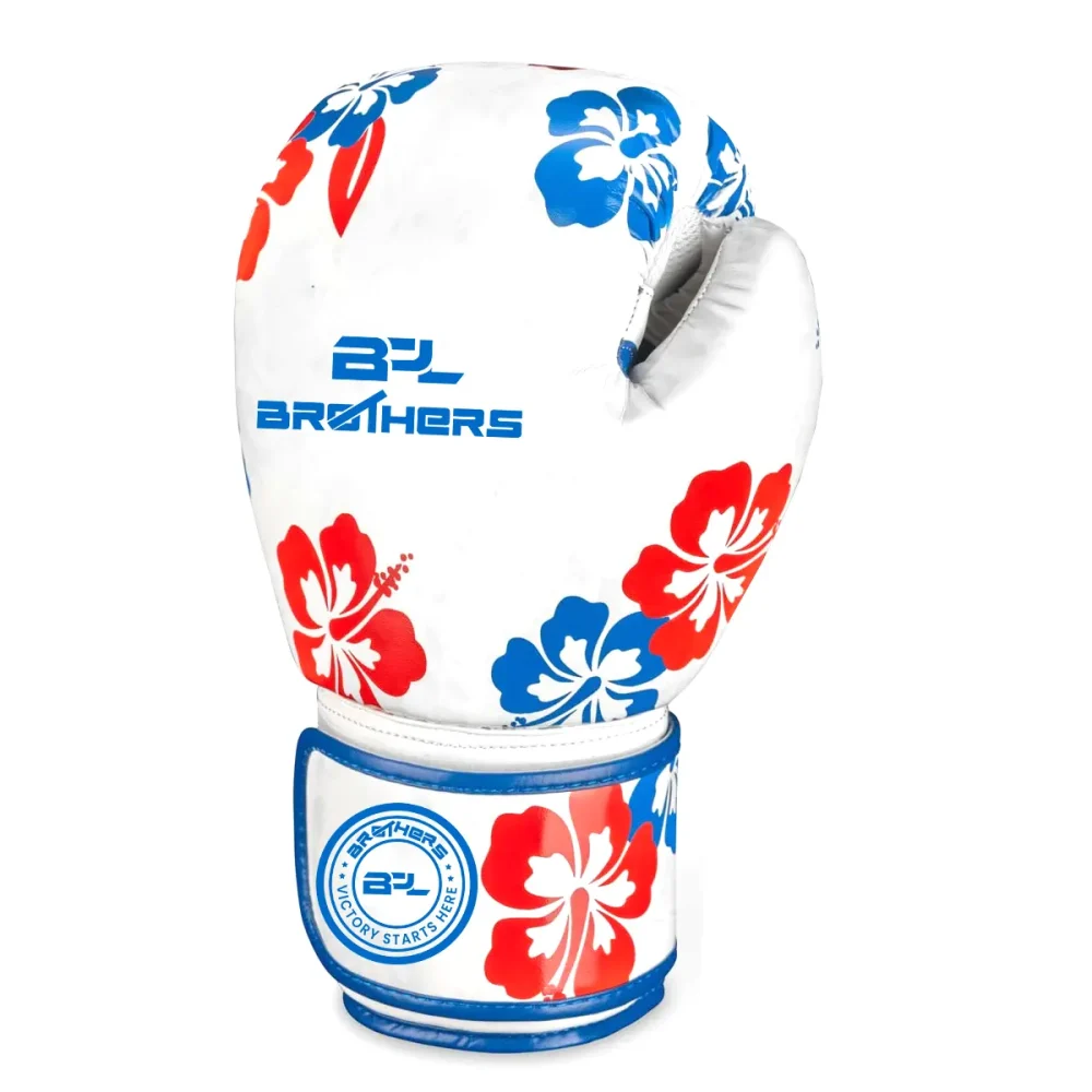 Boxing Gloves Hawaii